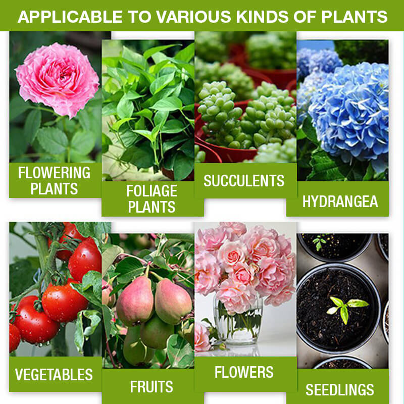 🔥Ótimo para vender! Compre 1 e leve 2 grátis🔥Suplemento para melhorar o crescimento das plantas🍃