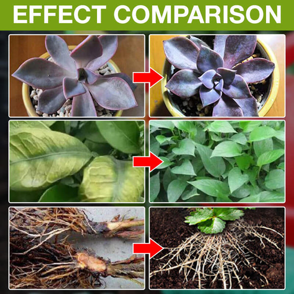 🔥Ótimo para vender! Compre 1 e leve 2 grátis🔥Suplemento para melhorar o crescimento das plantas🍃