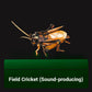 3D Paper Insect Puzzle for Kids