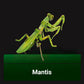 3D Paper Insect Puzzle for Kids