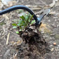 👍️BUY 1 GET 1 FREE👍️Gardening Hand Weeder Tools